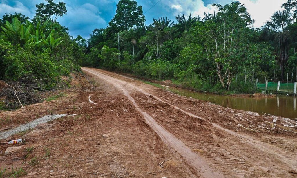 DESMATAMENTO NA AMAZÔNIA CAI EM SETEMBRO, APONTA O INPE