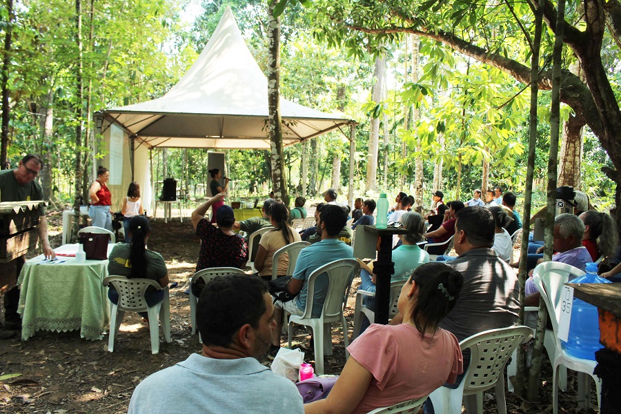 ALTA FLORESTA: MELIPONÁRIO MUNICIPAL RECEBE CAPACITAÇÃO DE CRIAÇÃO DE ABELHAS SEM FERRÃO DA AMAZÔNIA