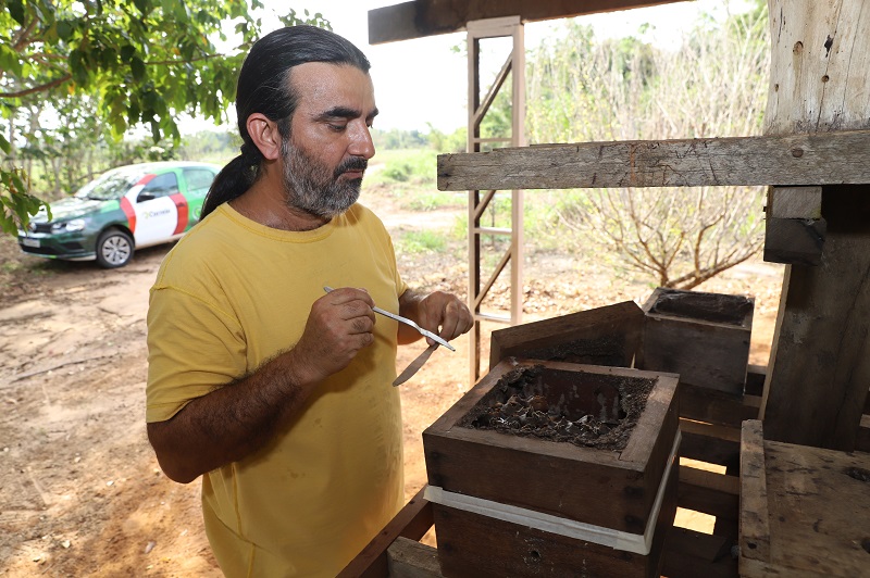 CRESCE INTERESSE NA CRIAÇÃO DE ABELHAS SEM FERRÃO EM MARABÁ
