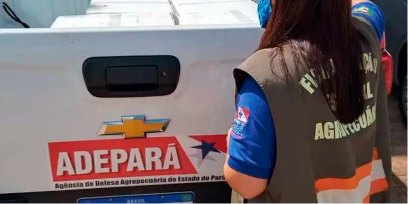 ADEPARÁ ABRE VAGAS PARA VETERINÁRIO, AGRÔNOMO E AUXILIAR DE CAMPO EM 4 MUNICÍPIOS PARAENSES