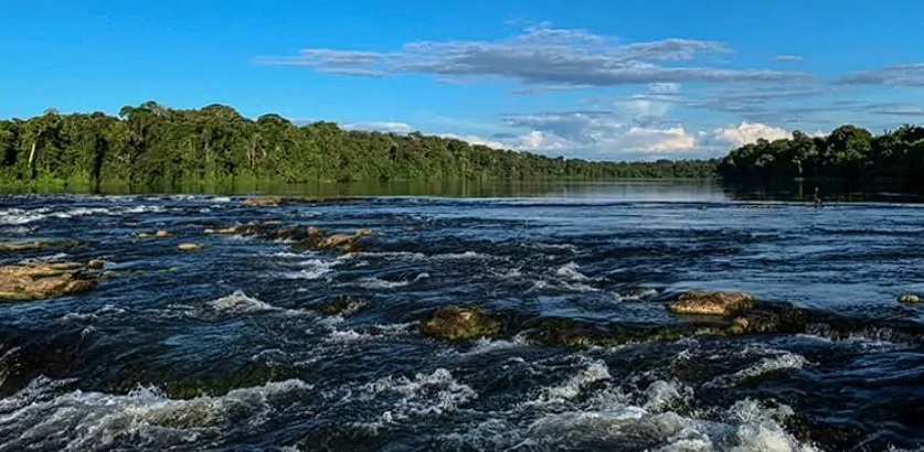 PLANO DE MANEJO DA APA TRIUNFO DO XINGU, EM SÃO FÉLIX DO XINGU, AVANÇA E TERÁ DOCUMENTO FINAL E CARTILHA EM 2024