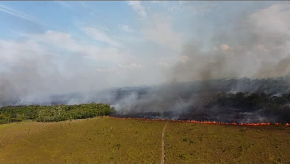 SOBE PARA 7 AS CIDADES QUE DECRETARAM SITUAÇÃO DE EMERGÊNCIA POR SECA NO MARAJÓ