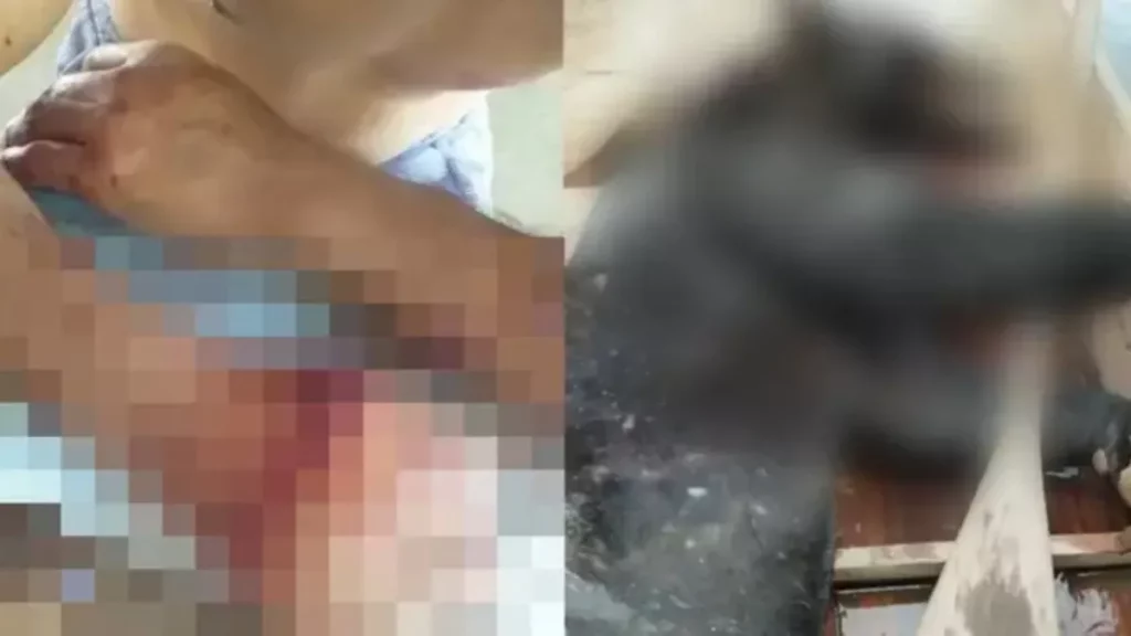 PARÁ: PESCADOR É ATACADO POR ONÇA