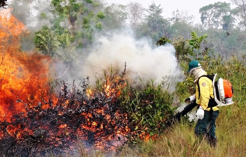 INCÊNDIOS FLORESTAIS AFETAM QUALIDADE DO AR NO NORTE DO PAÍS; SAIBA COMO PROTEGER AS CRIANÇAS
