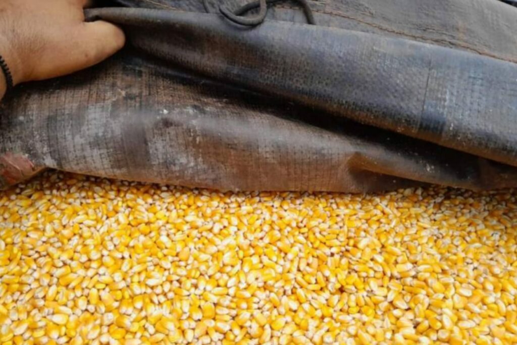 SEFA APREENDE CARGA AVALIADA EM MAIS DE R$ 26 MIL NO PARÁ