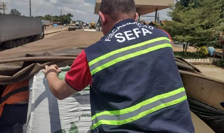 SEFA APREENDE 32 TONELADAS DE SOJA EM DOM ELISEU
