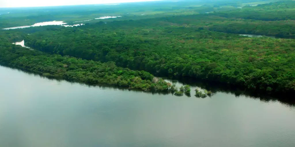 DURANTE A COP 28, NORUEGA ANUNCIA DOAÇÃO DE MAIS DE R$ 245 MILHÕES PARA O FUNDO AMAZÔNIA