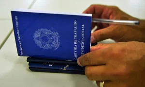 MICRO E PEQUENAS EMPRESAS SÃO AS MAIORES EMPREGADORAS DO PAÍS