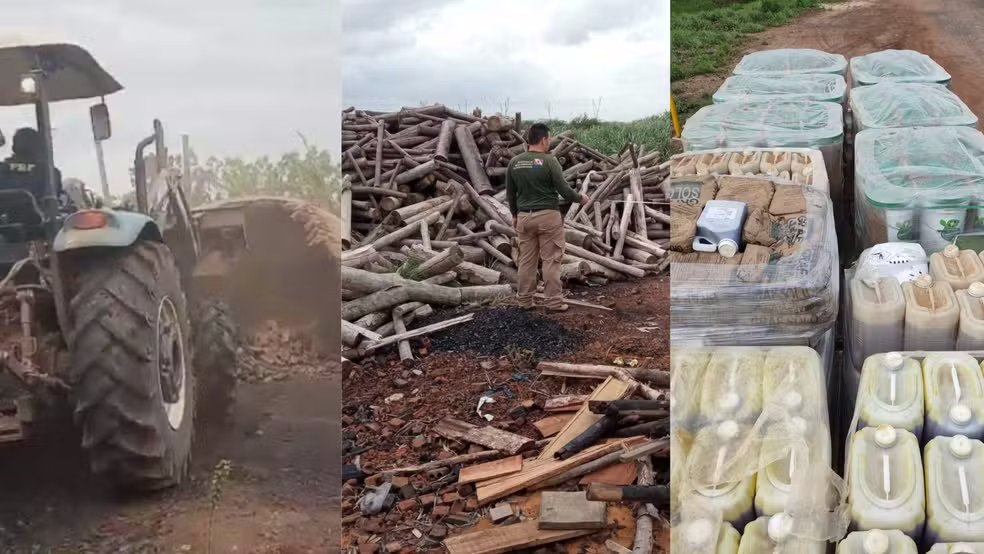 FORNOS DE CARVÃO SÃO DESTRUÍDOS E MAIS DE MIL M³ DE MADEIRA ILEGAL SÃO APREENDIDOS PELA PRF NO PA
