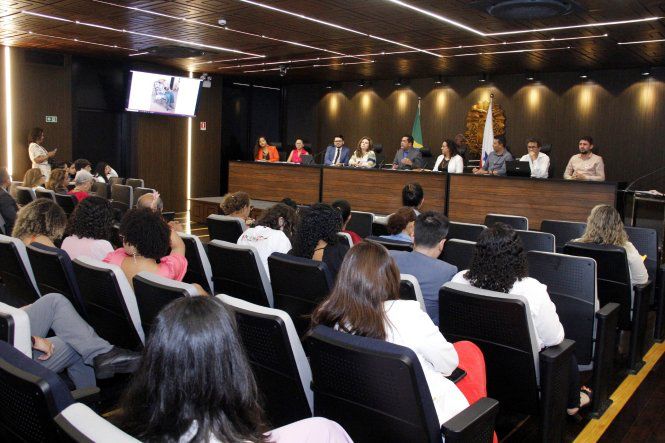 PROGRAMA ESTADUAL DE PROTEÇÃO AOS DEFENSORES DE DIREITOS HUMANOS É AVALIADO EM SUA EXECUÇÃO NO PARÁ