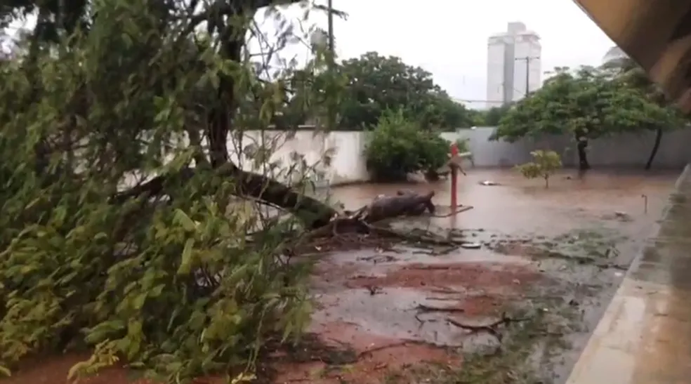 TEMPESTADE COM MUITOS RAIOS DEIXA ESTRAGOS E RUAS ALAGADAS EM PALMAS