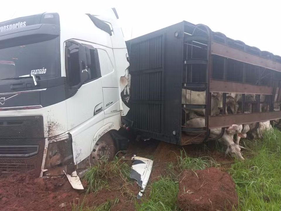 CARRETA DE DOIS ANDARES CARREGADA COM MAIS DE 100 BOIS TOMBA NA BR-153
