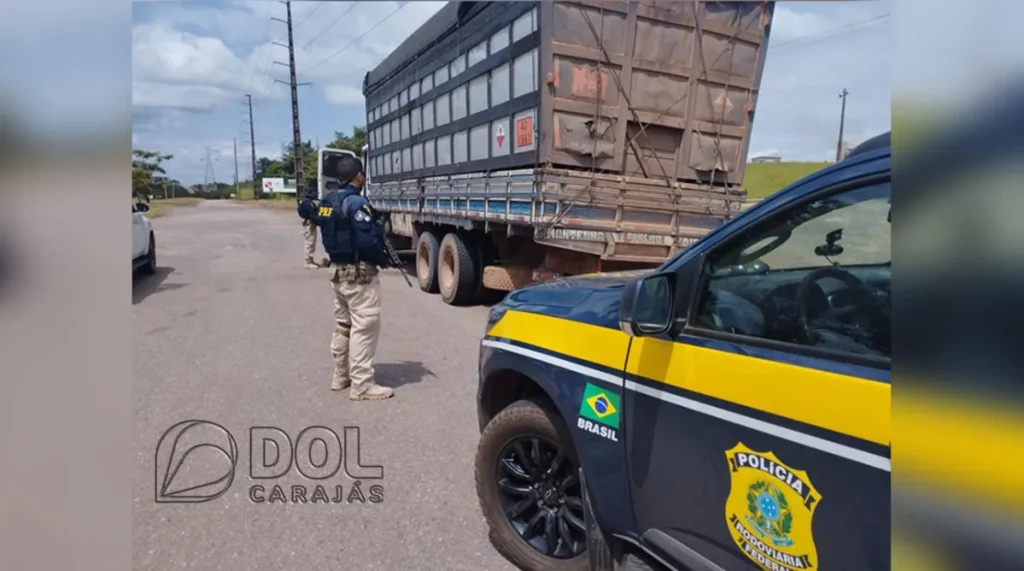 PRF APREENDE 33,5 METROS CÚBICOS DE CARVÃO MINERAL NA BR-222