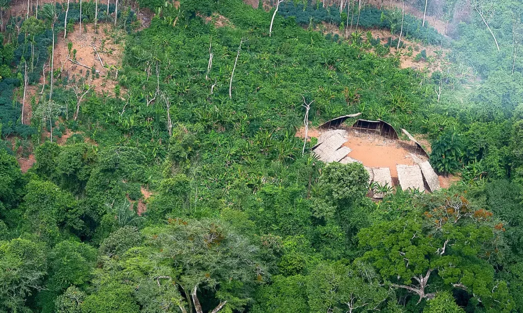 DESMATAMENTO EM ÁREAS PROTEGIDAS DA AMAZÔNIA CAI 73% EM 2023
