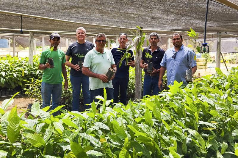 AÇÃO INTEGRADA GARANTE MAIS DE 30 MIL MUDAS PARA AGRICULTORES DE SÃO FÉLIX DO XINGU