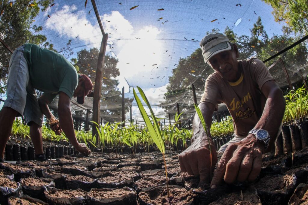 ‘DESENROLA RURAL’: PROJETO NA CÂMARA PODE CRIAR CANAL DE RENEGOCIAÇÃO DE DÍVIDAS DE PRODUTORES RURAIS CONTRAÍDAS ATÉ 2020