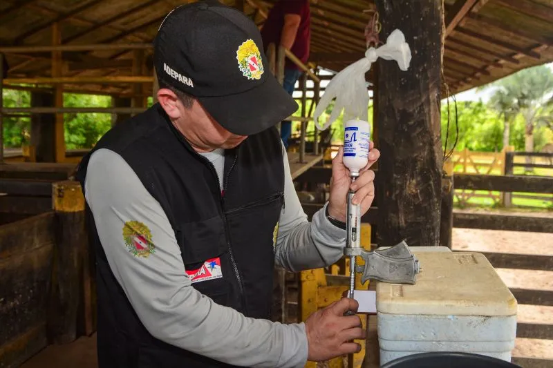 AÇÕES SANITÁRIAS DA ADEPARÁ HABILITAM FRIGORÍFICOS PARAENSES À EXPORTAÇÃO PARA A CHINA
