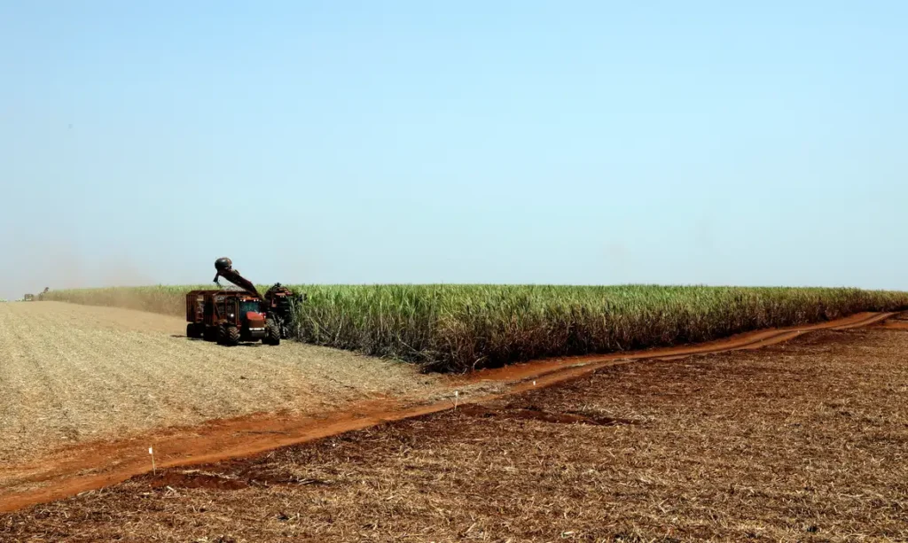 IBGE PREVÊ SAFRA DE 300 MILHÕES DE TONELADAS PARA 2024