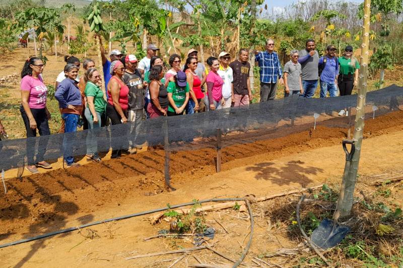 EM TUCURUÍ, EMATER GARANTE ACESSO A CRÉDITO DE R$ 3 MILHÕES PARA AGRICULTURA FAMILIAR