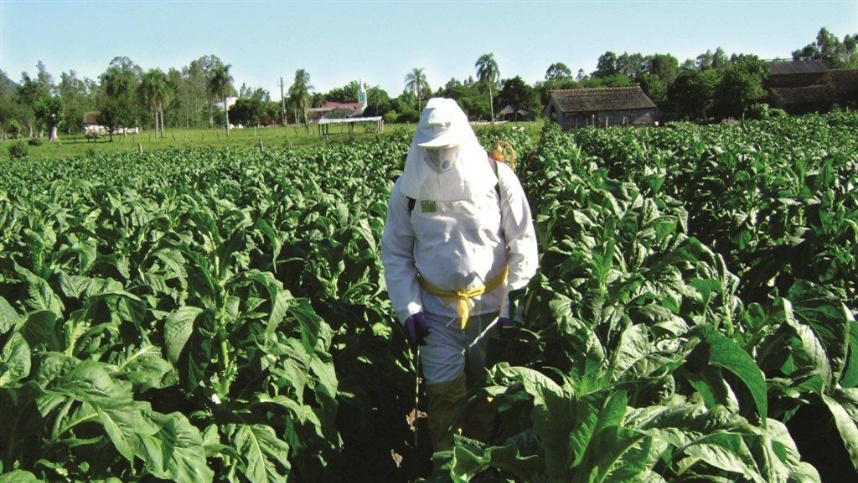 BRASIL SEDIARÁ CONSÓRCIO INTERNACIONAL DE (EPIS) INTERNACIONAL DE EQUIPAMENTOS DE PROTEÇÃO INDIVIDUAL NA AGRICULTURA