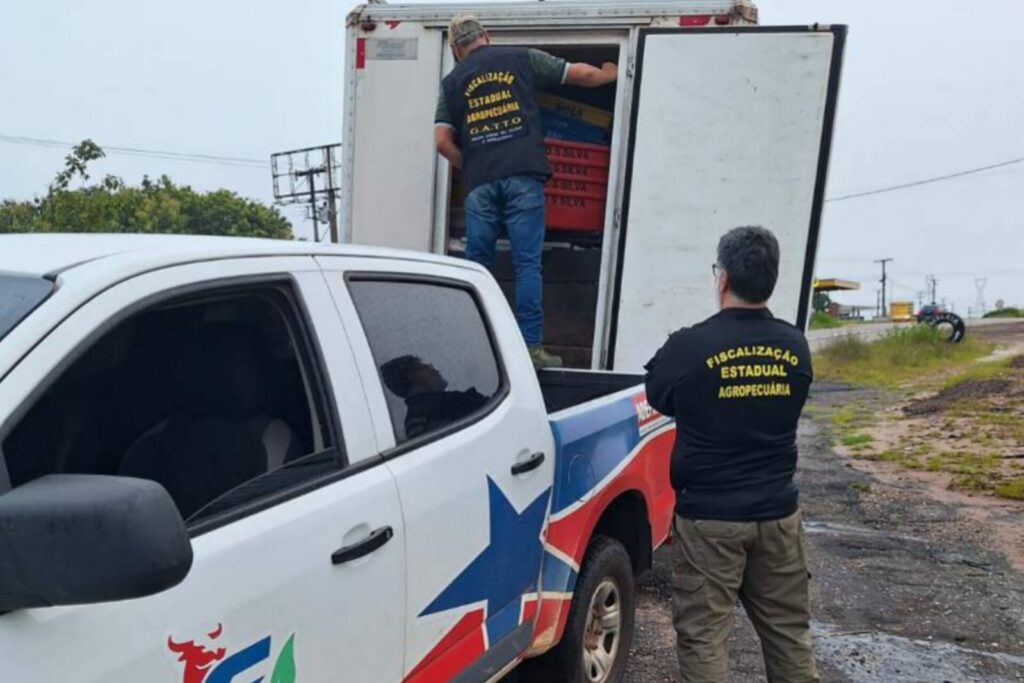 ADEPARÁ APREENDE 6 TONELADAS DE PEIXE NO PARÁ