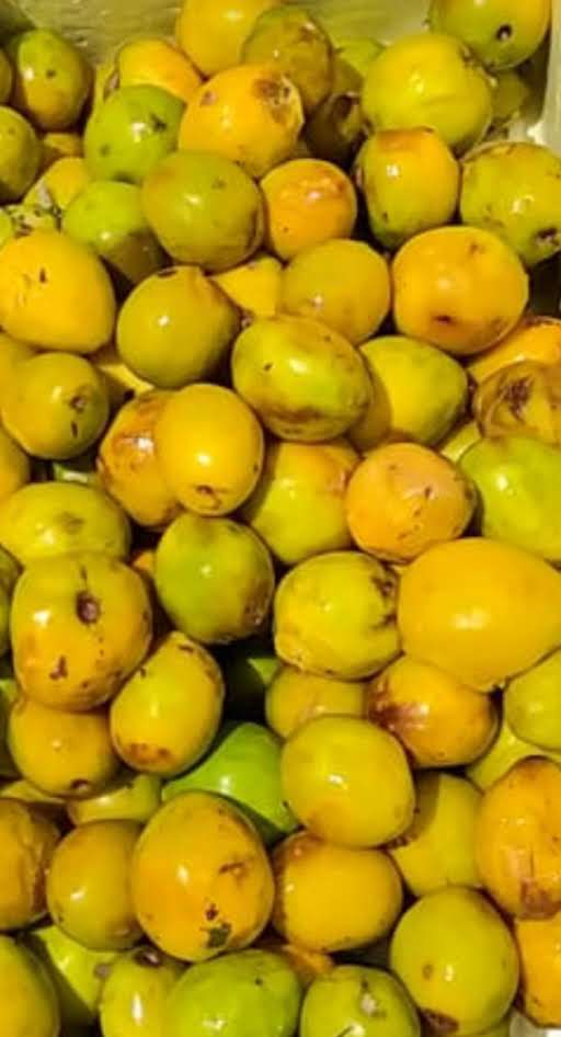GOLOSA: FRUTA EXÓTICA E AGROECOLÓGICA DE SÃO FÉLIX DO XINGU CONQUISTA MERCADO E ESTIMULA PRESERVAÇÃO DA FLORESTA