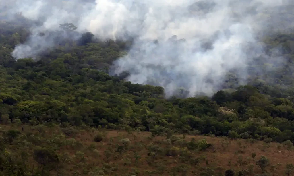 IBAMA CRIA PLATAFORMA PARA ACOMPANHAR RECUPERAÇÃO AMBIENTAL
