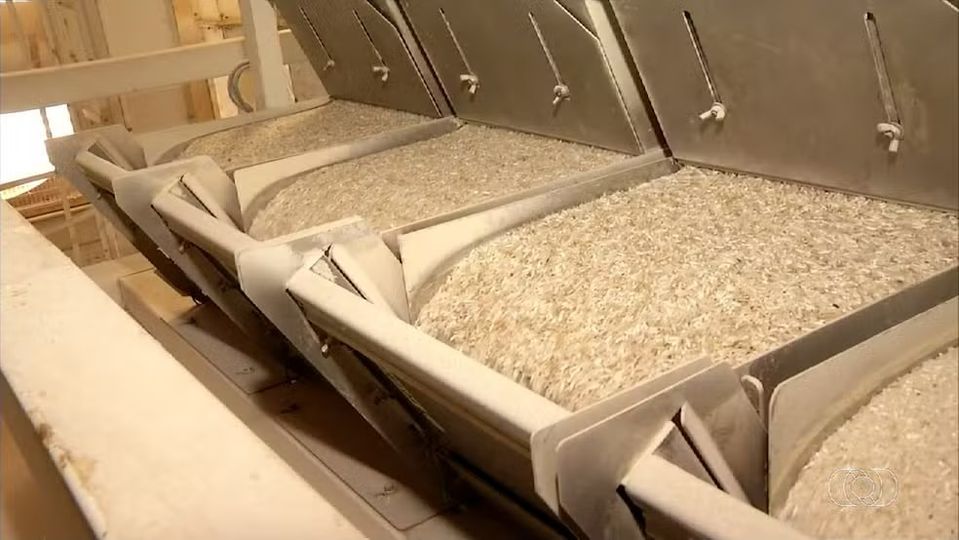 TOCANTINS É O TERCEIRO MAIOR PRODUTOR DE ARROZ E PRODUÇÃO DEVE PASSAR DE 500 MIL TONELADAS NESTA SAFRA