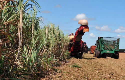 DESEMBOLSO DO CRÉDITO RURAL CHEGA A R$ 347,2 BILHÕES EM 10 MESES, APONTA MAPA