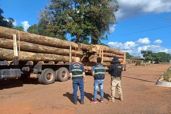 CARGA DE MADEIRA AVALIADA EM MAIS DE R$ 22 MIL É APREENDIDA NA BR-010, NO PARÁ