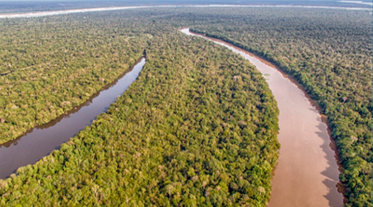 MPF RECOMENDA QUE BANCOS CANCELEM CRÉDITO RURAL PARA PROPRIEDADES EM ÁREAS DE CONSERVAÇÃO NA AMAZÔNIA