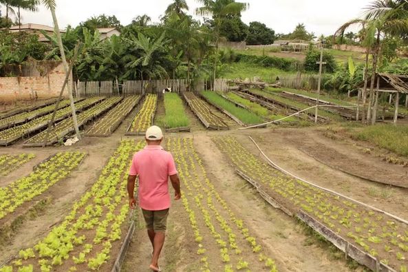 DOCUMENTÁRIO MOSTRA JORNADA DE AGRICULTORES PARA PRESERVAR MODO DE VIDA EM MEIO À EXPANSÃO DO AGRONEGÓCIO EM SANTARÉM