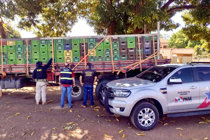 SEFA APREENDE 11 TONELADAS DE AÇAÍ IN NATURA EM DOM ELISEU