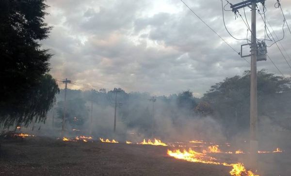 QUEIMADAS CAUSARAM 1.070 OCORRÊNCIAS DE FALTA DE ENERGIA NO SUL E SUDESTE DO PARÁ