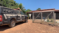 ABATE DE 50 CABEÇAS DE GADO EM SÃO FÉLIX DO XINGU; SUSPEITO É CONSIDERADO FORAGIDO