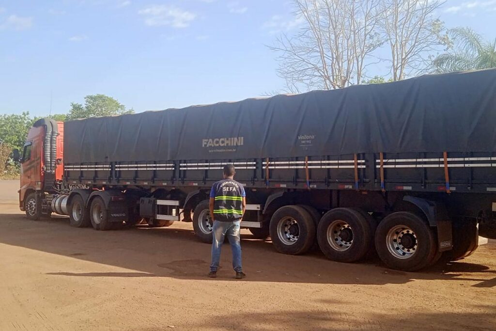 SEFA APREENDE CARGA DE MINÉRIO DE COBRE IRREGULAR EM SANTANA DO ARAGUAIA; CAMINHONEIRO TENTOU FUGIR
