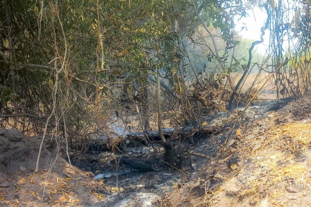 DEMAPA DEFLAGRA OPERAÇÃO PARA INVESTIGAR QUEIMADAS NO SUDESTE DO PARÁ