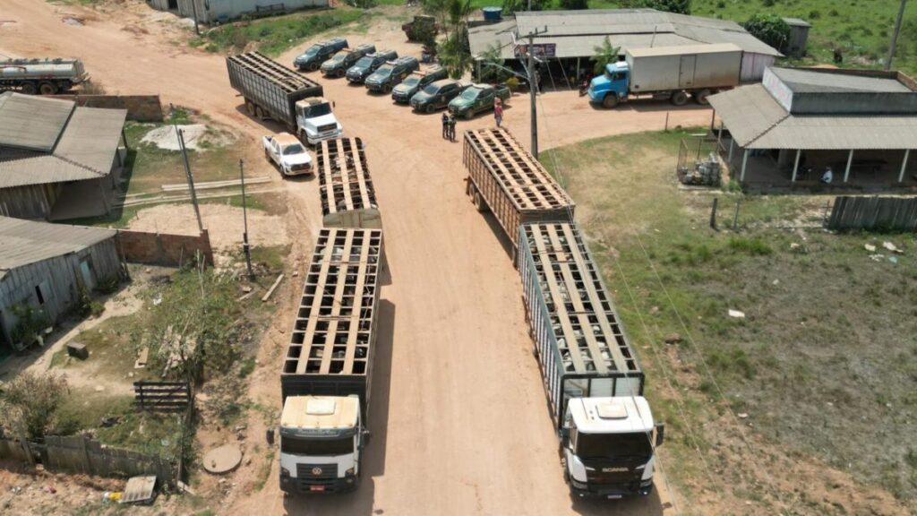 OPERAÇÃO FEDERAL REMOVE MAIS DE 180 ANIMAIS QUE AINDA ESTAVAM SENDO CRIADOS NA APYTEREWA, EM SÃO FÉLIX DO XINGU