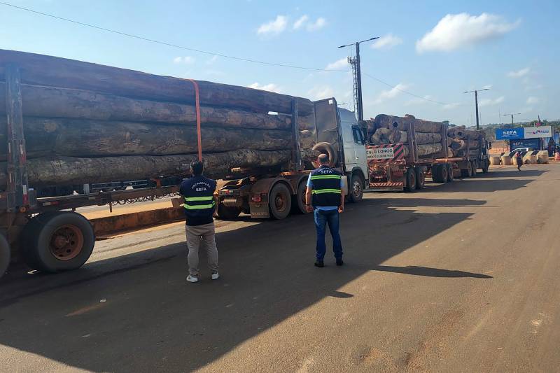 SEFA APREENDE 79 METROS CÚBICOS DE MADEIRA E 47 TONELADAS DE SOJA