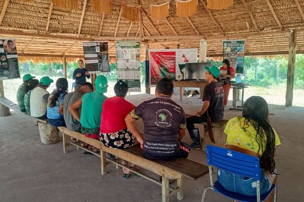 AGENTES AGROFLORESTAIS INDÍGENAS TÊM FORMAÇÃO PARA PLANTIO SEM QUEIMA NO ALTO RIO GUAMÁ