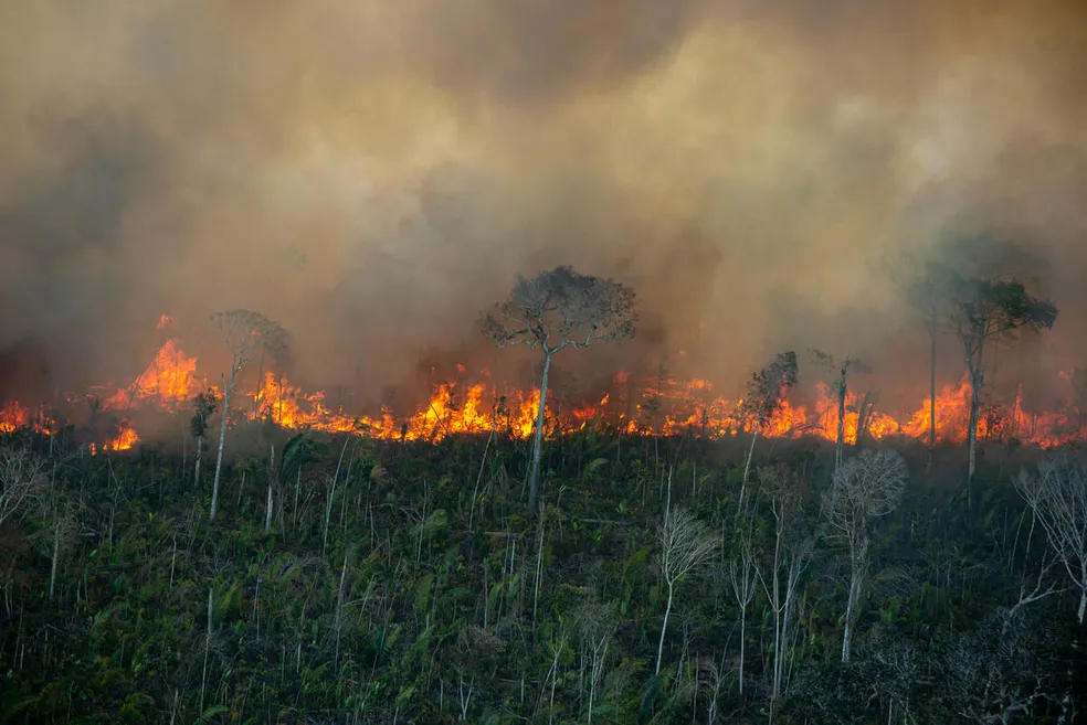 FORÇA NACIONAL É AUTORIZADA PARA ATUAR NO COMBATE E NAS INVESTIGAÇÕES DE INCÊNDIOS FLORESTAIS NO PARÁ