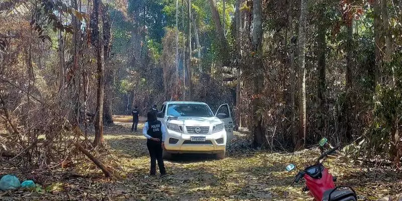 PC USA PLATAFORMA CONTRA CRIMES AMBIENTAIS E DESCOBRE 23 HECTARES DE ÁREA DESMATADA EM TAILÂNDIA