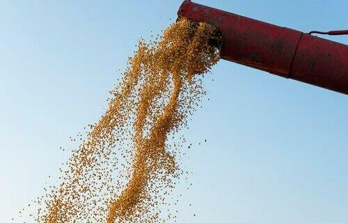 PRODUÇÃO AGRÍCOLA: SORRISO (MT) LIDERA RANKING DE MAIOR PRODUTOR; CONFIRA LISTA
