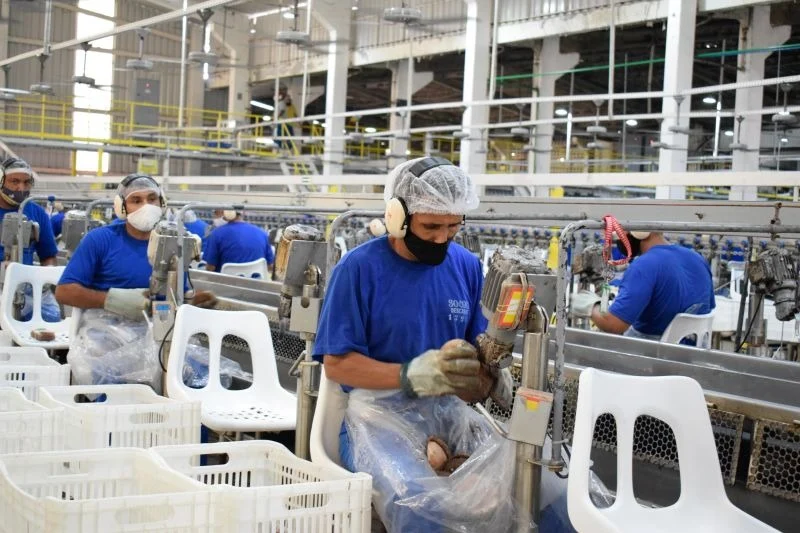 DIEESE: PARÁ DEVE TER MAIS DE 300 MIL NOVAS VAGAS DE EMPREGO ATÉ FINAL DO ANO