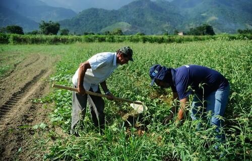 GARANTIA SAFRA: AGRICULTORES DE 744 MUNICÍPIOS COMEÇAM A RECEBER BENEFÍCIO