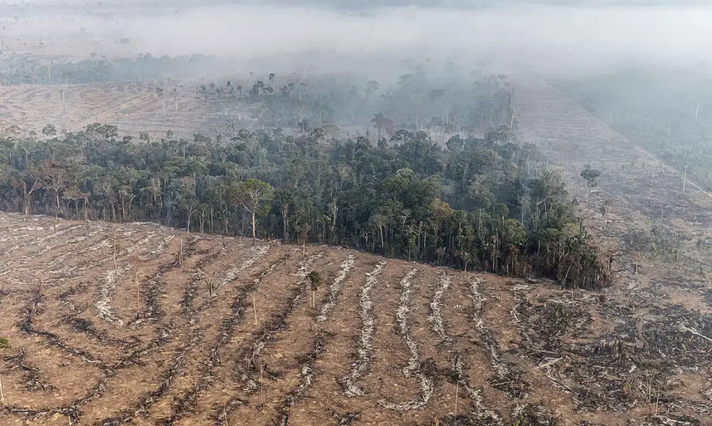 FUNDO DA AMAZÔNIA TERÁ CONTRIBUIÇÃO DE R$ 91 MILHÕES DA IRLANDA