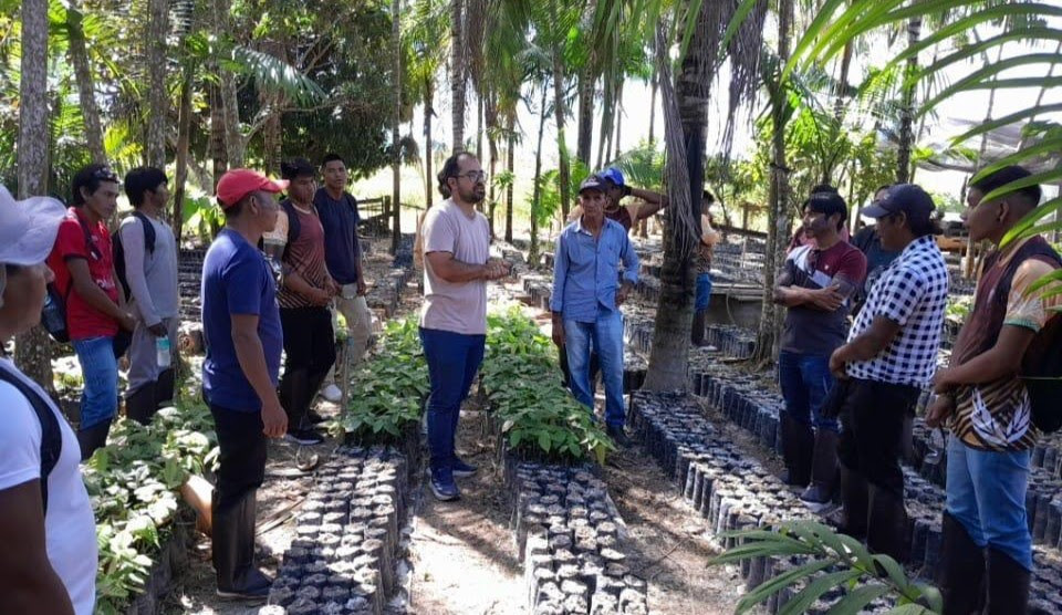 INDÍGENAS KAYAPÓ EXPANDEM SABERES PARA PRODUÇÃO DE CACAU NO SUDESTE DO PARÁ