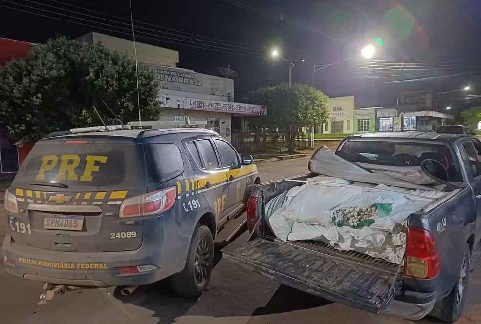 MAIS DE 2,7 MIL EXPLOSIVOS SÃO APREENDIDOS ESCONDIDOS EM CARRO NA BR-163 EM GUARANTÃ DO NORTE