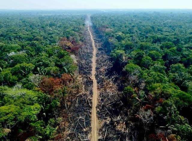 DESMATAMENTO NA AMAZÔNIA CAI 57% EM TRÊS ANOS, APONTA INPE