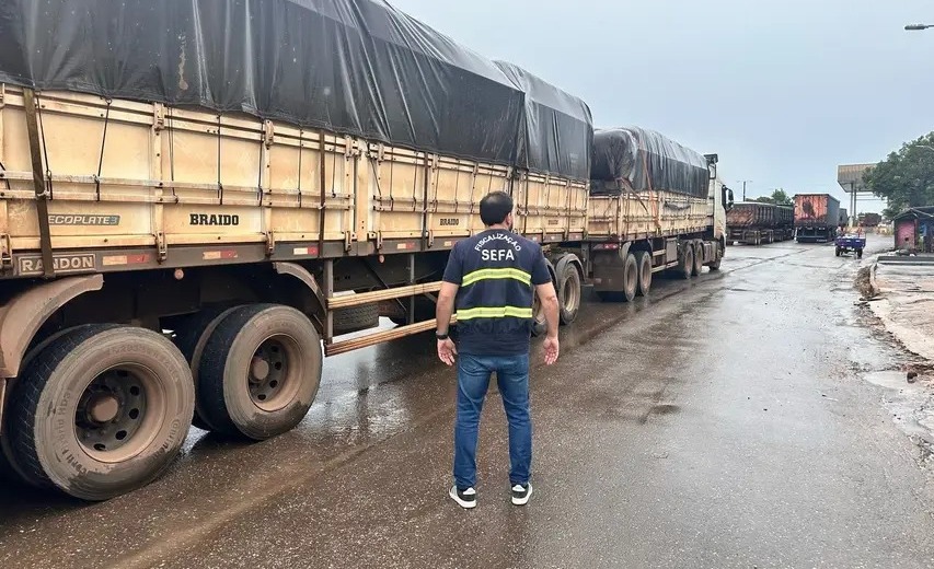 SEFA APREENDE MAIS DE 13 MIL TONELADAS DE PESCADO E 50 TONELADAS DE RAÇÃO EM DOM ELISEU
